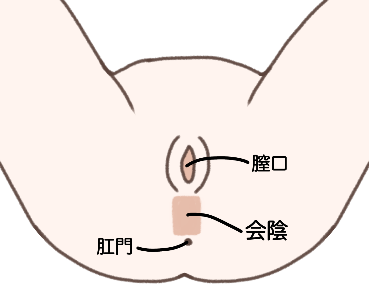 会 陰 刺激