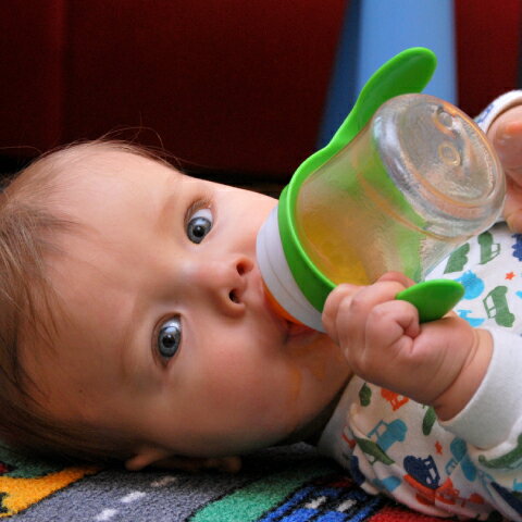 医師監修｜赤ちゃんはいつから麦茶を飲める…