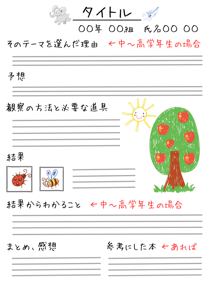 観察系の自由研究のまとめに入れたい項目