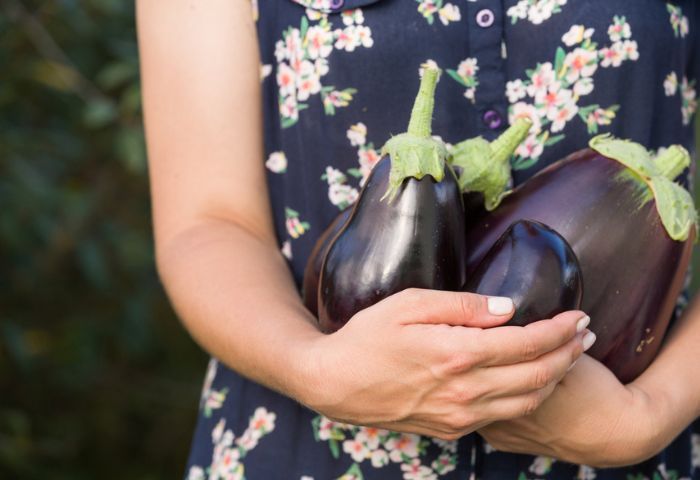 「秋茄子は嫁に食わすな」は意地悪じゃない？茄子の栄養素も解説