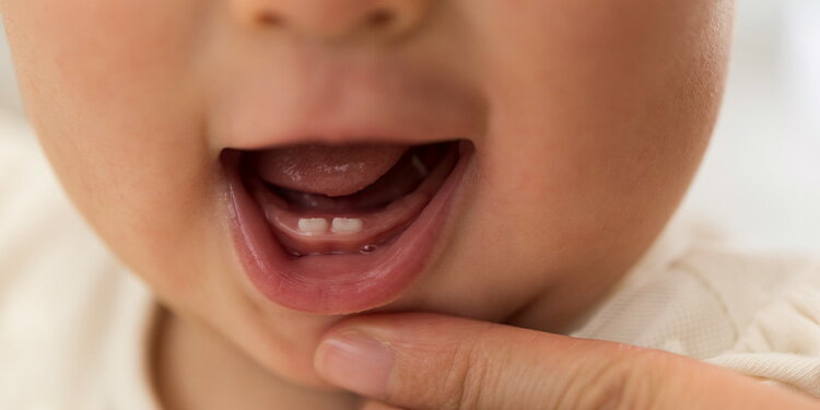 赤ちゃんの歯並び