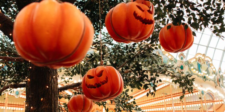 ハロウィン時期のテーマパークのイメージ