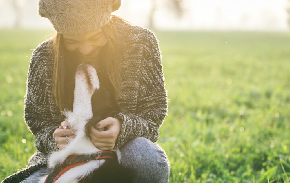 楽天市場 With Pet 犬の鳴き声の違いによって気持ちの変化を理解する