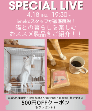 先着5名LIVE視聴+5,980円以上で500円OFFクーポン　ieneko ナチュラルな猫インテリア