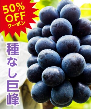 ＼先着5名様／名産地・牧丘産！濃厚な甘みが特長【1キロ2房】 山下屋荘介