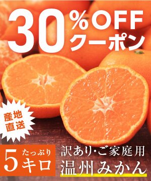 ＼先着20名様／愛媛県産みかん【訳あり5キロ】を産地直送で！ 山下屋荘介