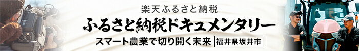 DC福井県坂井市