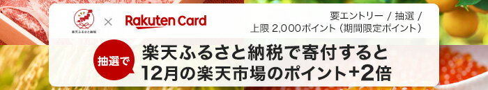 楽天カードで楽天ふるさと納税