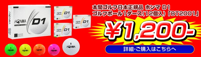 本間ゴルフ　ゴルフボールD1　1ダース　1200円