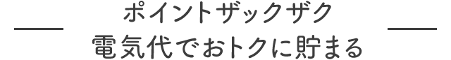 ポイントザックザク電気代でおトクに貯まる