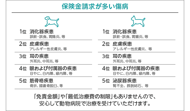 【保険金請求が多い傷病】犬[1位 消化器疾患][2位 皮膚疾患][3位 耳の疾患][4位 眼および付属器の疾患][5位 筋骨格疾患]　 猫[1位 消化器疾患][2位 皮膚疾患][3位 耳の疾患][4位 眼および付属器の疾患][5位 泌尿器疾患]　「免責金額」や「最低治療費の制限」もありませんので、安心して動物病院で治療を受けていただけます。