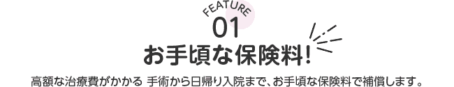 FEATURE01 お手頃な保険料！高額な治療費がかかる 手術から日帰り入院まで、お手頃な保険料で補償します。