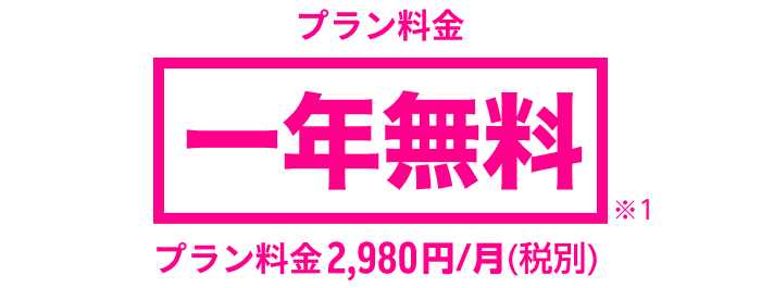 一年無料 プラン料金2,980円/月(税別)