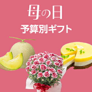 予算別でギフトを探す