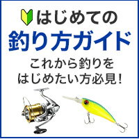 ����򤽤����ƥե�����ɤ˽Ф����褦��