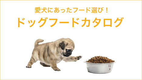 愛犬にあったフードを選びましょう！