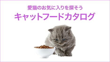 愛猫のお気に入りフードを探そう！