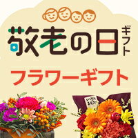 フラワーギフトに使える！クーポン配布中