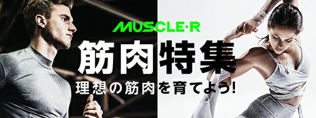 理想の筋肉を育てよう！
