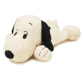 �̤������