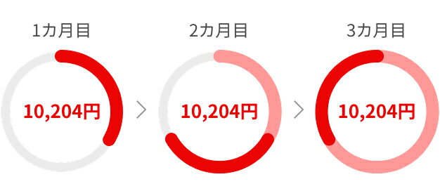 30,000円の商品を3回払いで購入した場合、1か月10,000円に分割払い手数料204円が加算された計10,204円で月々のお支払いが可能