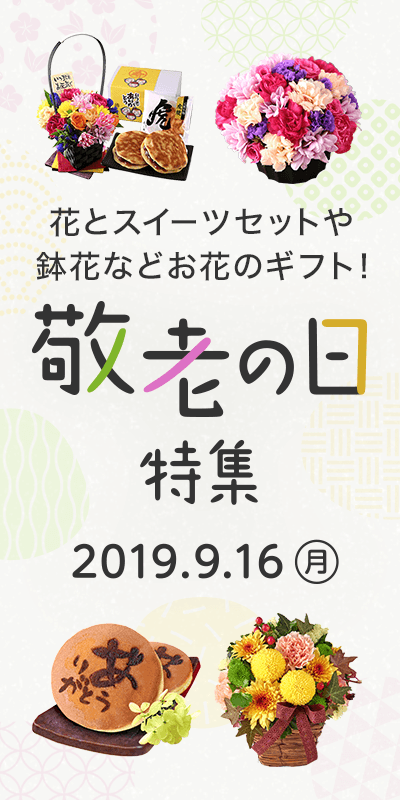 楽天市場 ハーバリウム 植物の種類デンドロビューム 花 ガーデン Diy の通販