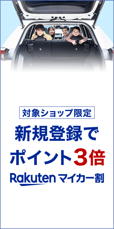 楽天市場 洗車の通販