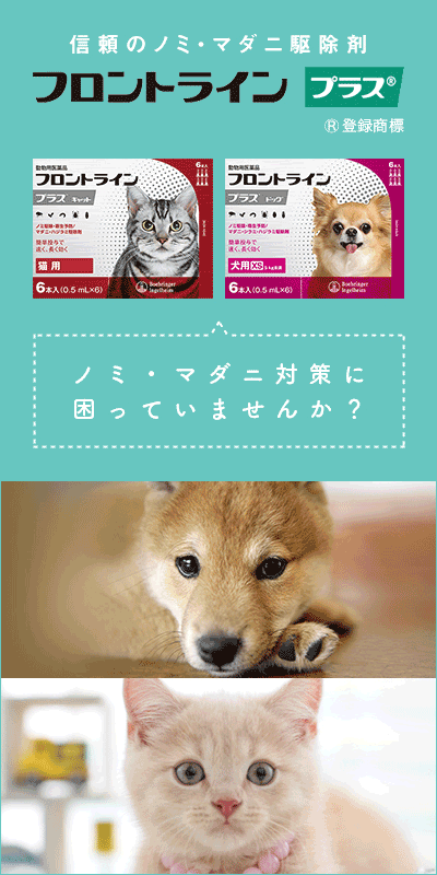 楽天市場 フロントラインプラス 犬用 Sの通販