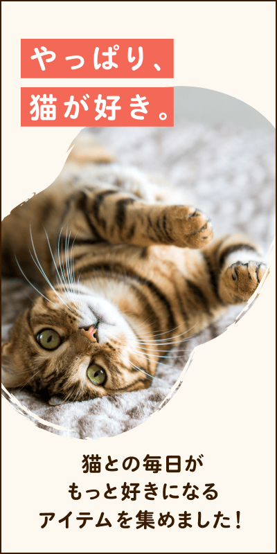 キャットタワー特集