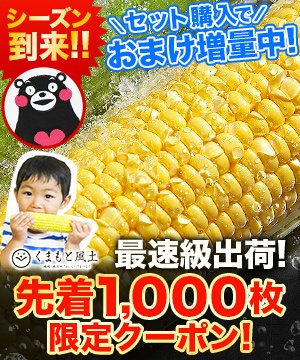 ＼先着1,000回限定！／生でも甘～い★厳選スイートコーン！【　くまもと風土　】