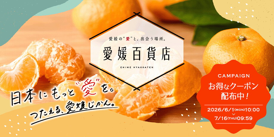 愛媛百貨店