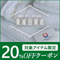 愛媛百貨店【先着利用2,350回】愛媛のその他のアイテムに使える3,980円（税込）以上購入で20%OFFクーポン♪