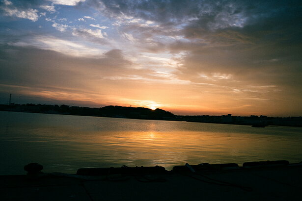根室で水揚げされる、 希少な恵み