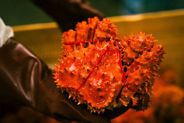 妥協を許さない、 根室の加工現場に息づく誇り