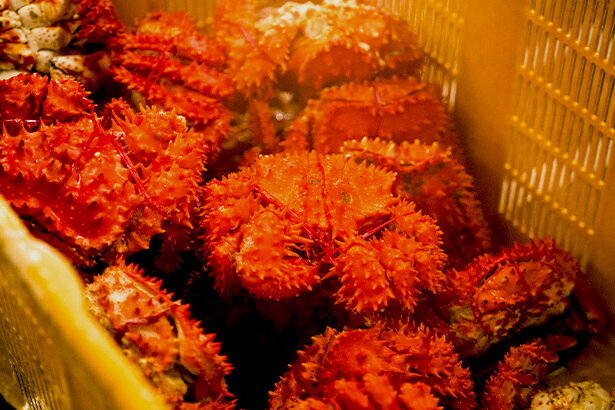 妥協を許さない、 根室の加工現場に息づく誇り