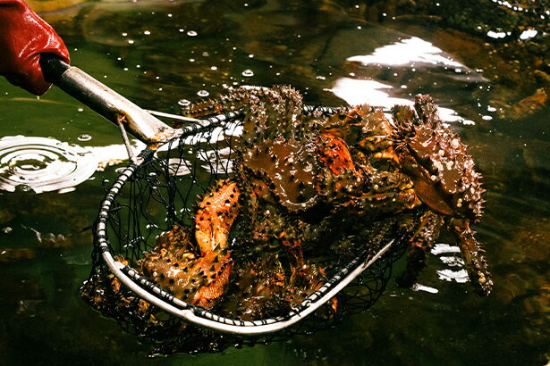 妥協を許さない、 根室の加工現場に息づく誇り