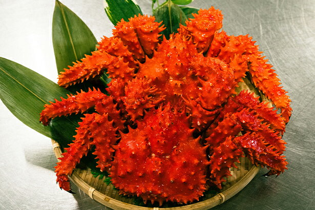 ひとくちで伝わる 花咲がにの濃厚な旨みを、 まっすぐ届けたい 