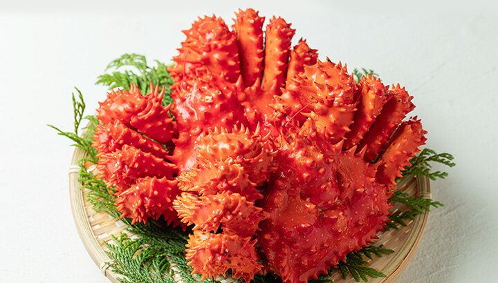 根室を支えるカニの歴史