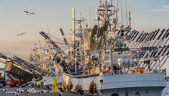 豊かな海を守り続けるために