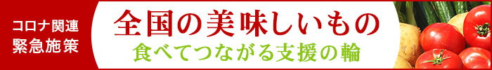 コロナウイルス関連緊急施策 