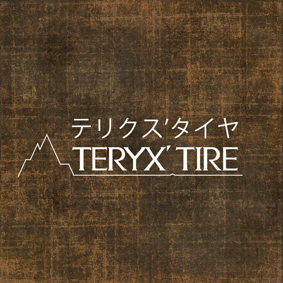 テリクスタイヤ TERYX'TIRE