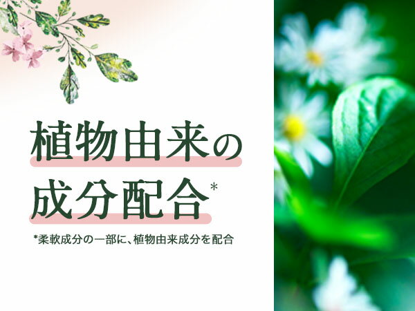 植物由来の成分配合