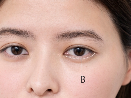 下まぶたの際にもBで涙袋を描きます。目元を大きく明るく見せて瞳の輝きもアップ。