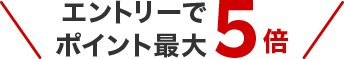 エントリーでポイント最大5倍
