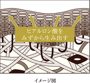 イメージ図