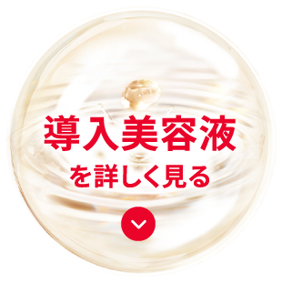 導入美容液を詳しく見る