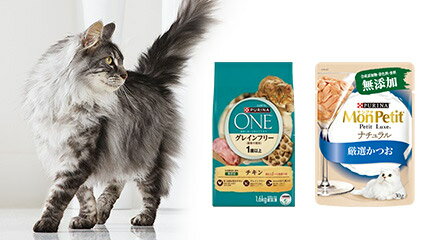 ネスレ日本_ネスレピュリナスタンプラリー第15弾