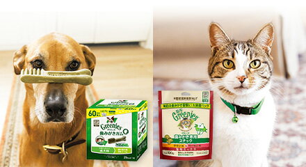 MARS_併売キャンペーン