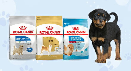 ロイヤルカナン_20251128【犬】