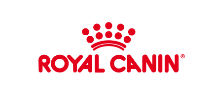 ロイヤルカナン＿GW_猫エイジングキャンペーンGW_猫エイジングキャンペーン